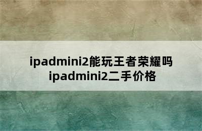 ipadmini2能玩王者荣耀吗 ipadmini2二手价格